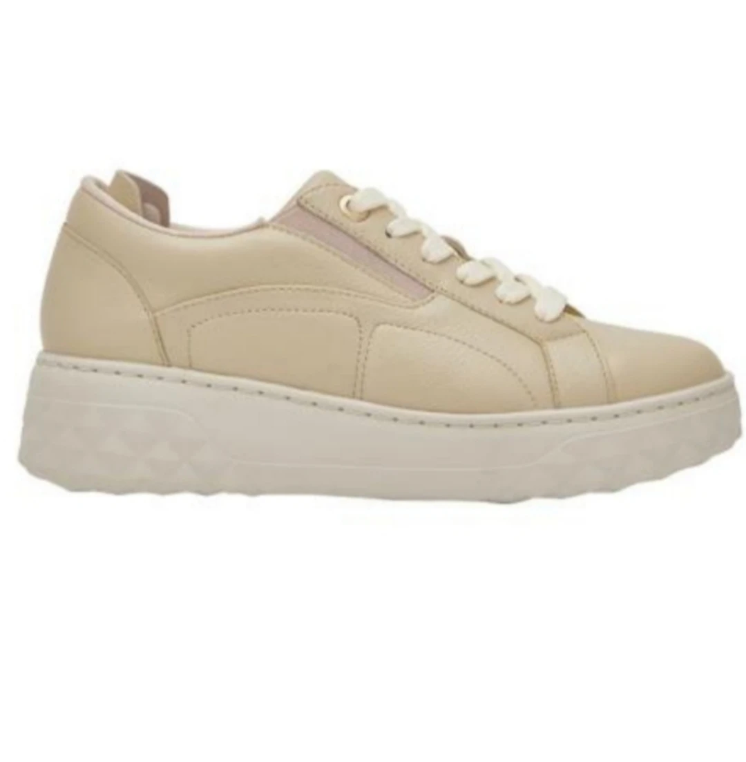 SCHOLL PATIKE URBAN ELASTIC BELE