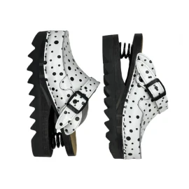 BALDO TAČKASTE NOVE