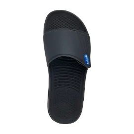 SCHOLL NAUTILUS CRNE