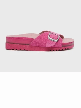 Scholl papuče SENNY-pink