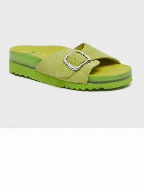 Scholl papuče SENNY-zelene
